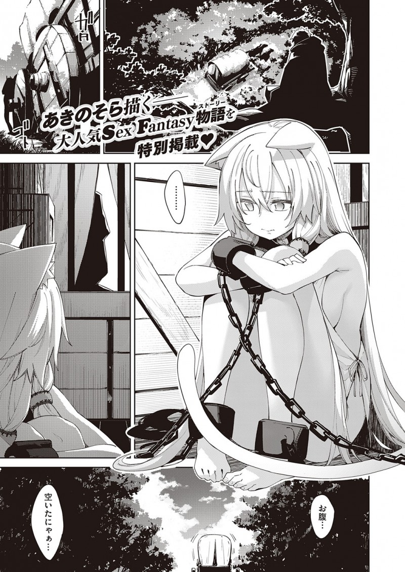 異世界に転生して勇者として魔王を討伐したけど女の子と話すらしてないことに気づいて、魔法を使って奴隷商人に運ばれていた全裸の美少女獣人を発情させ中出しレイプする！