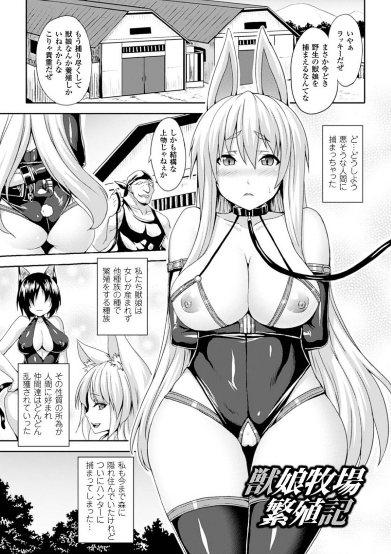 【少年漫画】森に隠れていた獣娘は人間に捕まってしまった！繁殖牧場に連れて行かれるとそこはあたり一面交尾をしている獣と獣娘！繁殖が目的の獣娘は母乳まで余すことなく金にする！連れて来られた獣娘も即孕ませセックス！【ソメジマ】