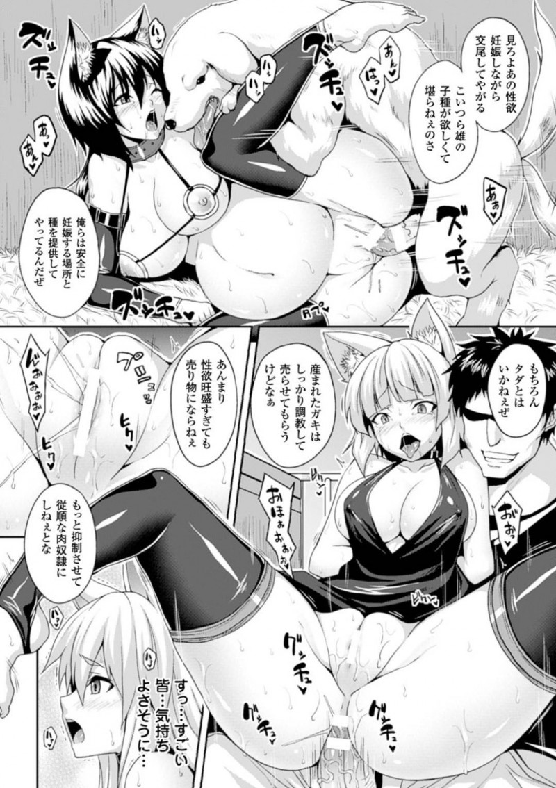 【少年漫画】森に隠れていた獣娘は人間に捕まってしまった！繁殖牧場に連れて行かれるとそこはあたり一面交尾をしている獣と獣娘！繁殖が目的の獣娘は母乳まで余すことなく金にする！連れて来られた獣娘も即孕ませセックス！【ソメジマ】