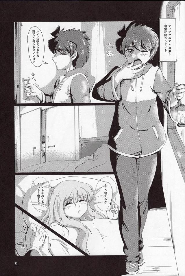 ぐっすりと眠っていたサイトが違和感を感じ目を覚ますと隣にルイズがいるのに姫様がフェラをしていて、我慢できず姫様と激しく中出しセックスしてしまった！【ゼロの使い魔・エロ同人誌】