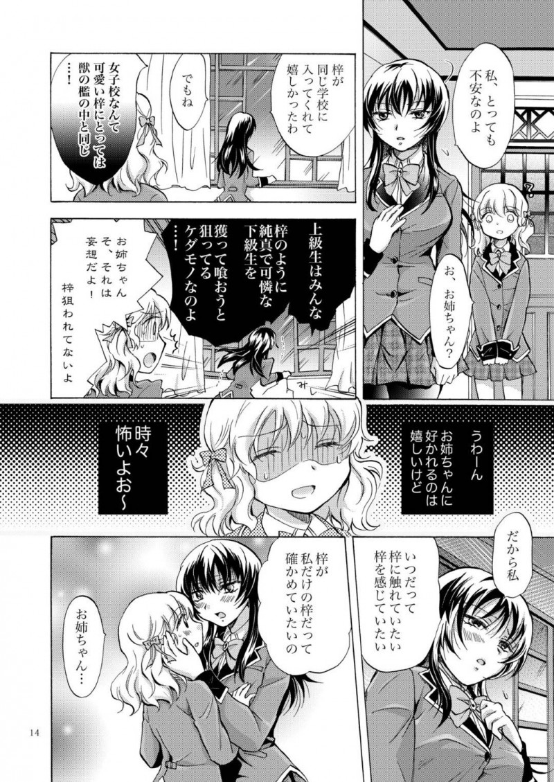 【エロ同人誌】血がつながっていないシスコン巨乳姉…妹のことが大好きで身体を触ることを良くないと思っている妹は姉に伝えるが実は義理の姉妹ということがわかり恋人としてイチャイチャ！初めてのキスやマンコを触られ２人で仲良く絶頂！【みら】