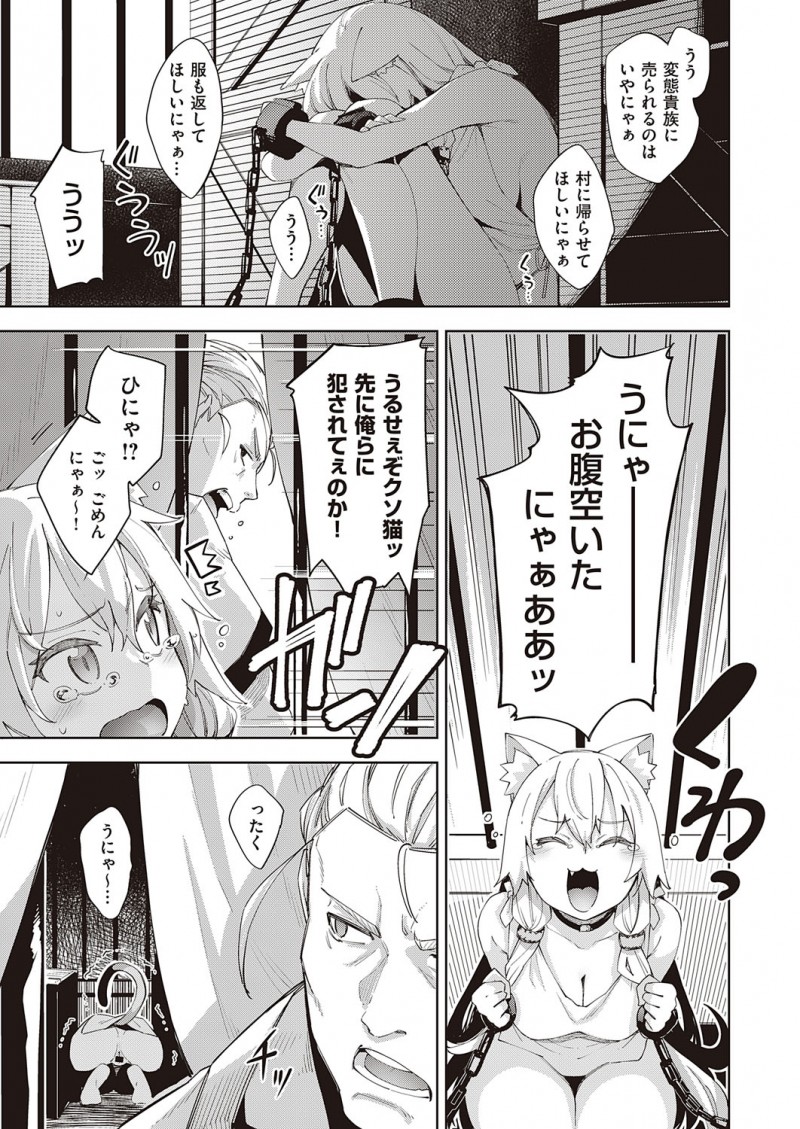 異世界に転生して勇者として魔王を討伐したけど女の子と話すらしてないことに気づいて、魔法を使って奴隷商人に運ばれていた全裸の美少女獣人を発情させ中出しレイプする！