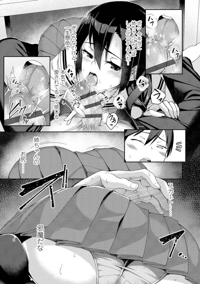 【少年漫画】実の弟へ妖しげな視線を送る巨乳JK姉…両親が旅行に行き2人きりの夜を過ごしていると勉強中に勃起しているチンポに気付く！手で抜いてあげても収まらない弟チンポを挿入して近親相姦！【石鎚ぎんこ】