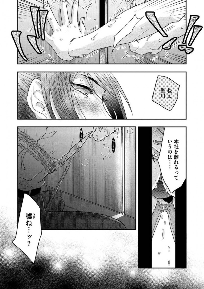 隼人とセックスするSM女王様の宙琉…宙琉のSMバーでバーテンダーとして働いている隼人は、宙琉から上客である聖川を紹介されるも、面接を受けた会社の専務であり、ハメられた事を知る！隼人は、穴兄弟である聖川に見られながら宙琉と中出しセックスしアクメされる！【大波耀子：覗かないでNewbie 中編】