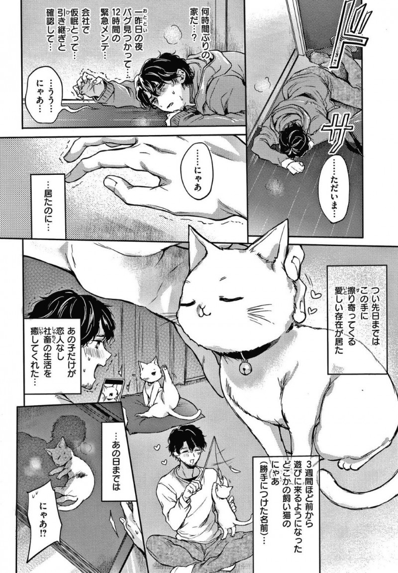 【エロ漫画】飼い猫を保護した男は、飼い主の女に泥棒と間違えられ罵られる。男は外で買い物に行く途中で女に遭遇しご飯をご馳走になると、勘違いした事を謝られる。その日以降頻繁に合うようになり、お互い惹かれ合うとイチャラブセックス【雛腹えみ】