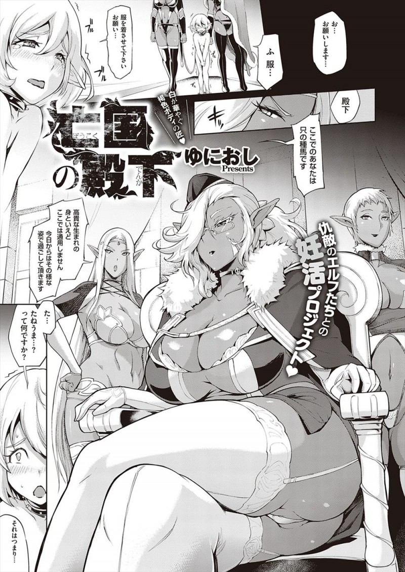 仇敵のダークエルフたちにとらえられ全裸にされた亡国の殿下が女だらけの屋敷に連れて行かれ、ここにいる女達を誰でも何人でもいいから孕ませなさいと言われ種馬にされる！