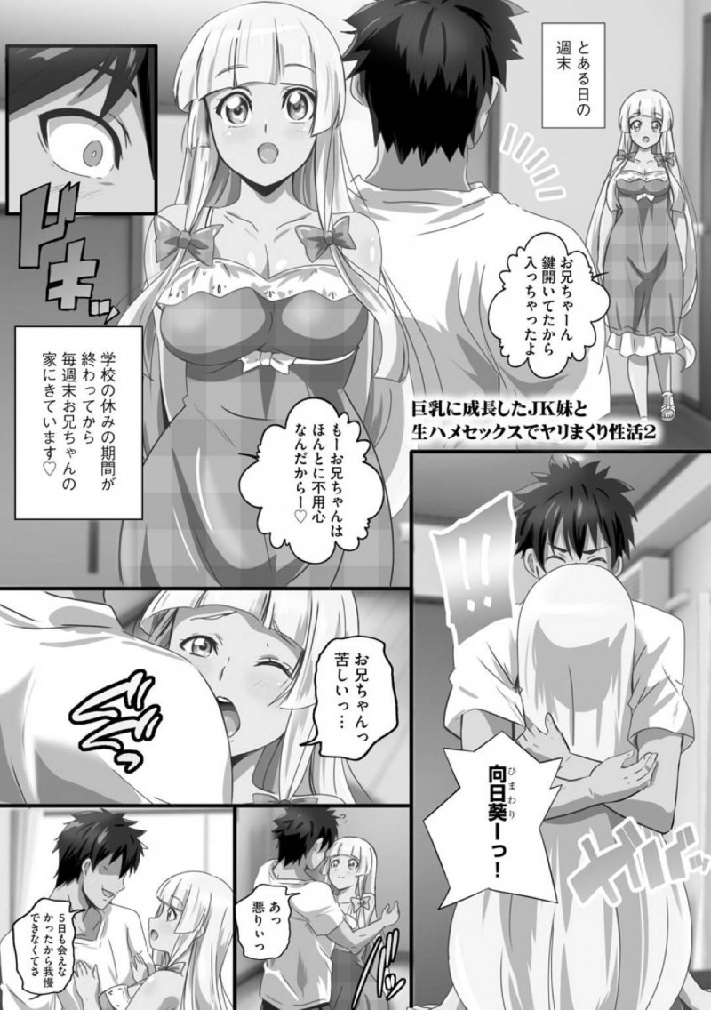【エロ漫画】久しぶりに大好きなお兄ちゃんの家に遊びに行く巨乳JK妹…ハグしただけでギンギンなアソコをご奉仕フェラしてあげてラブラブな兄妹中出しSEX！【鷲塚翔：巨乳に成長したJK妹と生ハメセックスでヤリまくり性活2】