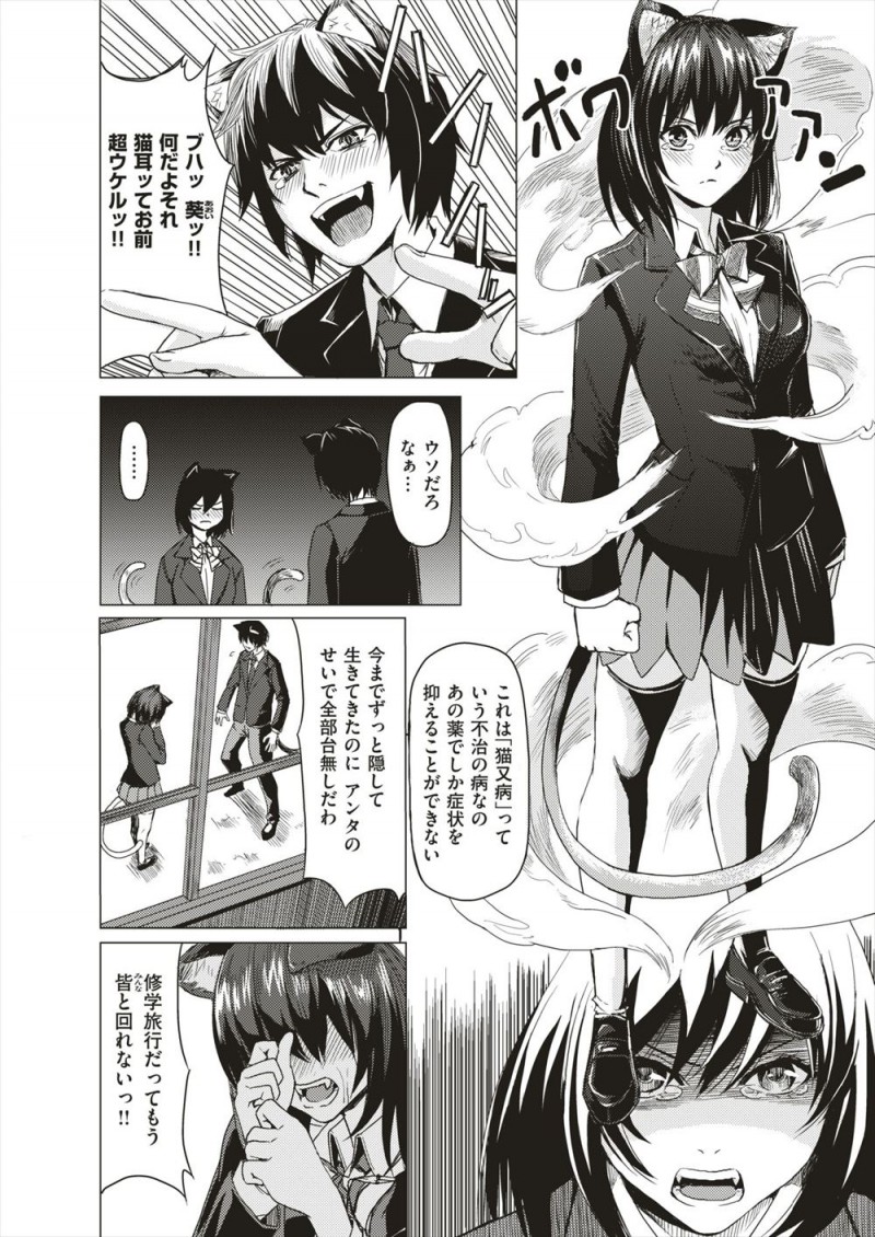 猫化する病気にかかっているJKが修学旅行にクスリを持ってきていたが、酔いドメだと思って飲んでしまった男子も猫化してしまい、実は一つだけもとに戻る方法があってカミカミされながら激しく中出しセックスされる///