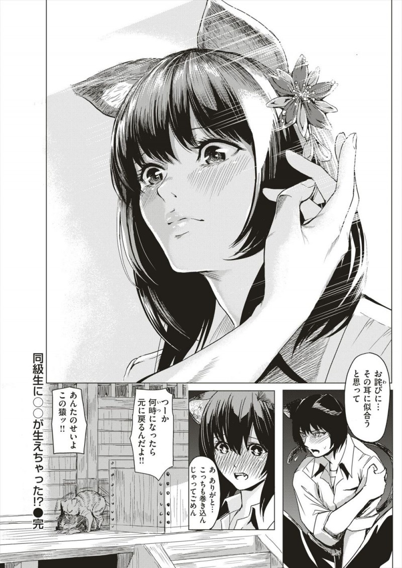 猫化する病気にかかっているJKが修学旅行にクスリを持ってきていたが、酔いドメだと思って飲んでしまった男子も猫化してしまい、実は一つだけもとに戻る方法があってカミカミされながら激しく中出しセックスされる///