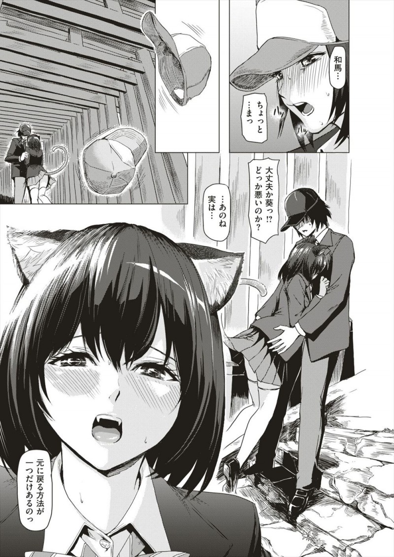 猫化する病気にかかっているJKが修学旅行にクスリを持ってきていたが、酔いドメだと思って飲んでしまった男子も猫化してしまい、実は一つだけもとに戻る方法があってカミカミされながら激しく中出しセックスされる///
