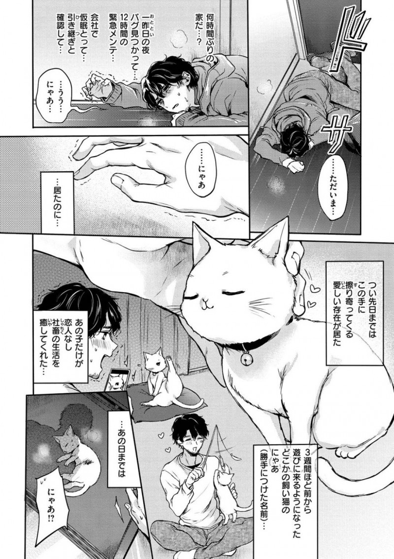 【少年漫画】偶然見つけた飼い猫を世話してくれた男性と恋人同士になった巨乳お姉さん…久しぶりに家で過ごしながらいちゃいちゃ中出しセックス！【雛原えみ】