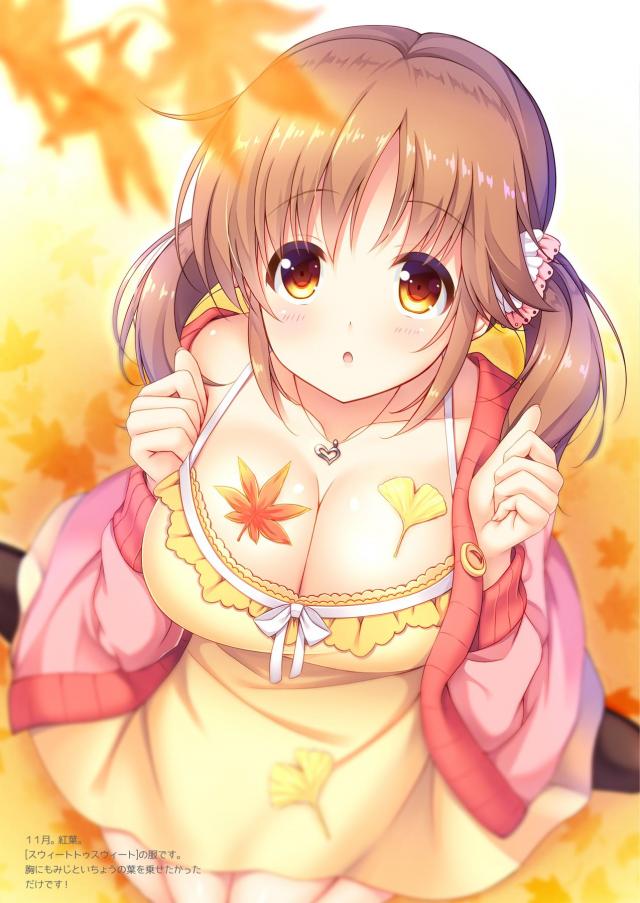 月ごとにあわせていろんなコスプレをした十時愛梨のかわいいフルカラーイラスト集！【アイドルマスター シンデレラガールズ・エロ同人誌】