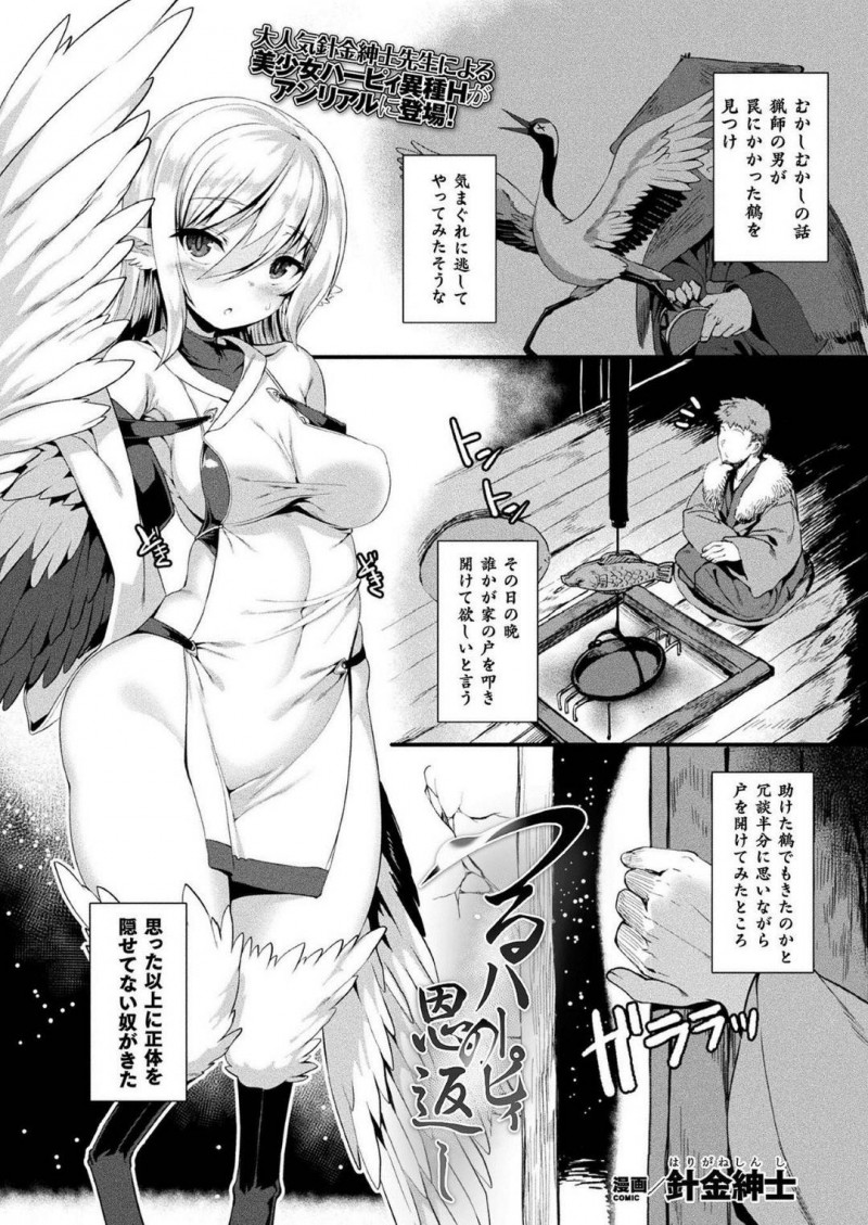 【エロ漫画】主人公に助けられた鶴の獣娘…彼女は彼に恩返しをしようと、彼の家に訪れてはエッチな事を迫る！【針金紳士:つるハーピィの恩返し】