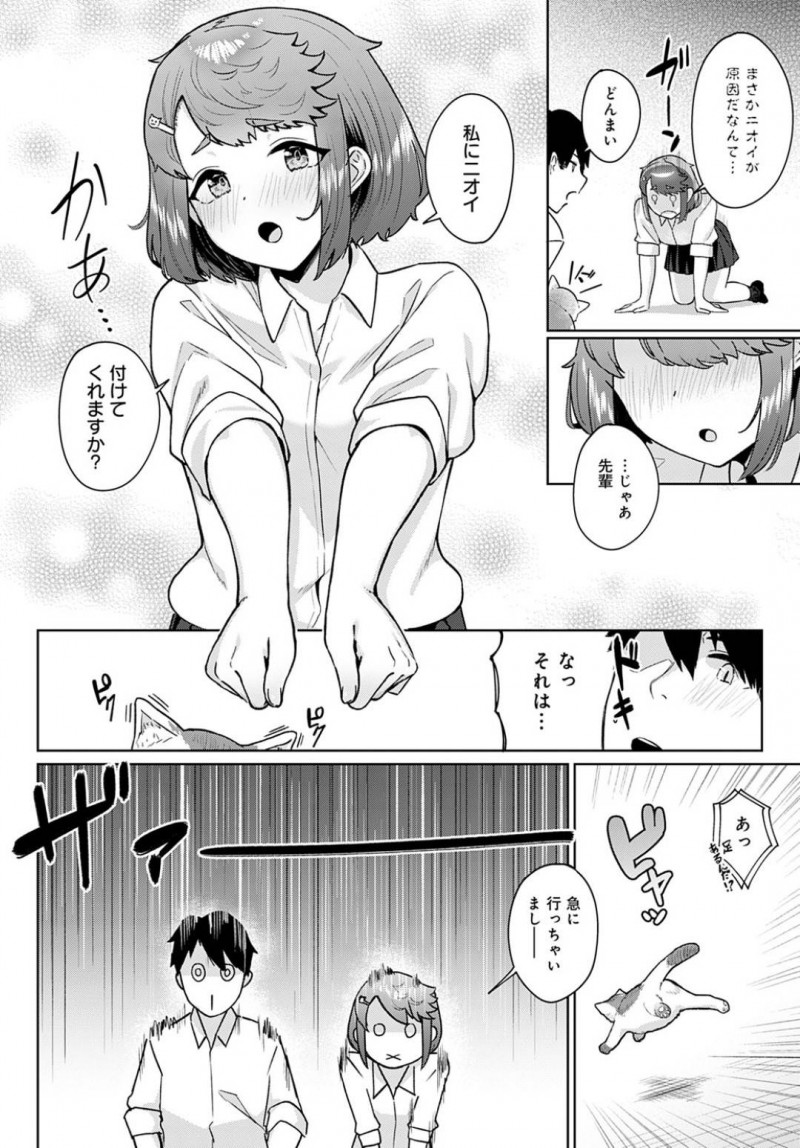 猫と戯れ合っているいると雨に降られ雨宿りする先輩と花畑…びしょ濡れになった花畑は先輩に密着すると勃起したちんこを手コキフェラ！花畑はスカートを捲ると手マンをしてもらうとイチャラブ青姦中出しセックスで処女喪失する【仲尾ハム：猫のち雨宿り】