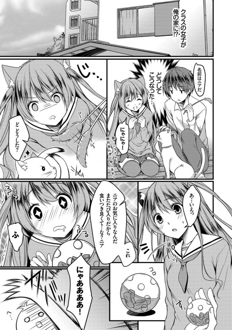 ネコミミを生やしにゃん語が分かる不思議JKのあんず…高橋はネコと戯れていると、ねこ語が分かるという中二病全開のあんずに話しかけられる。あんずが家に遊びに来るとマタタビに興奮し顔を赤らめると高橋は押し倒し中出しセックス【ここあ：クラスの愛猫さん】