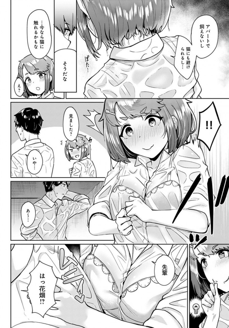 猫と戯れ合っているいると雨に降られ雨宿りする先輩と花畑…びしょ濡れになった花畑は先輩に密着すると勃起したちんこを手コキフェラ！花畑はスカートを捲ると手マンをしてもらうとイチャラブ青姦中出しセックスで処女喪失する【仲尾ハム：猫のち雨宿り】