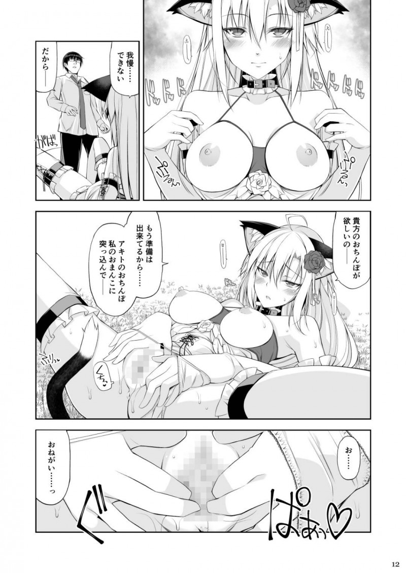 【エロ同人誌】自分の見た目が違うことで世間から孤立して生きて来た猫お嬢様JKはセフレの下僕と喧嘩して欲求不満が爆発！【大田優一/ねことげぼく】