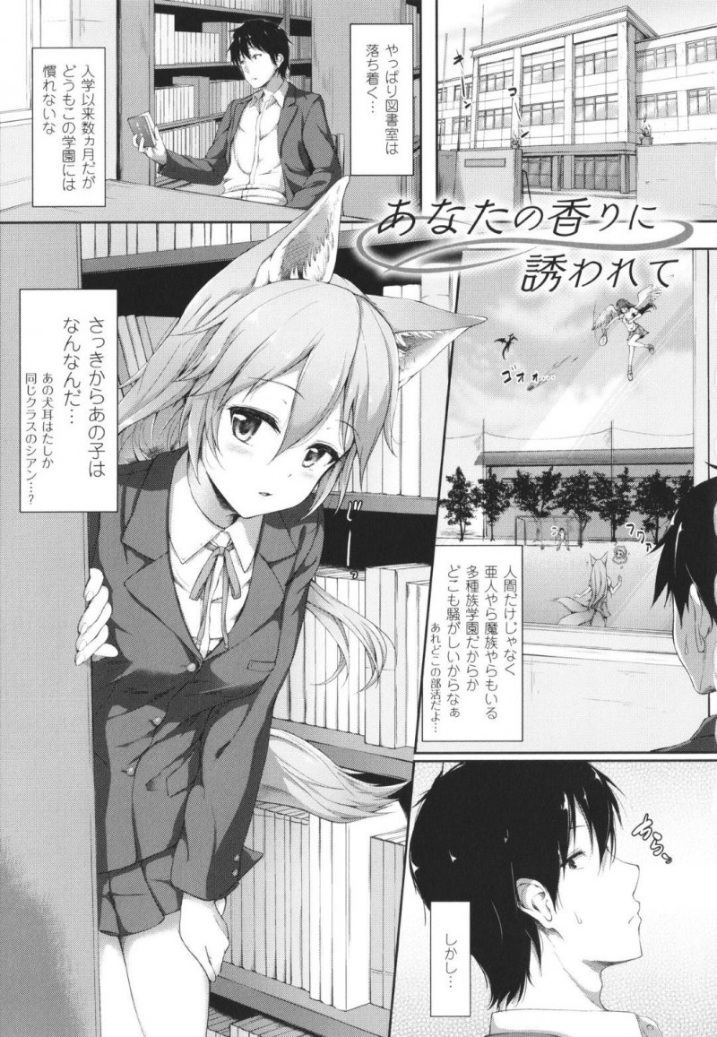 【エロ漫画】図書室にいる男子生徒のストーカーをする狐耳JK…とってもいい匂いがするためつけていたことを白状して近くで居させてもらうことに！【淡夢：あなたの香りに誘われて】