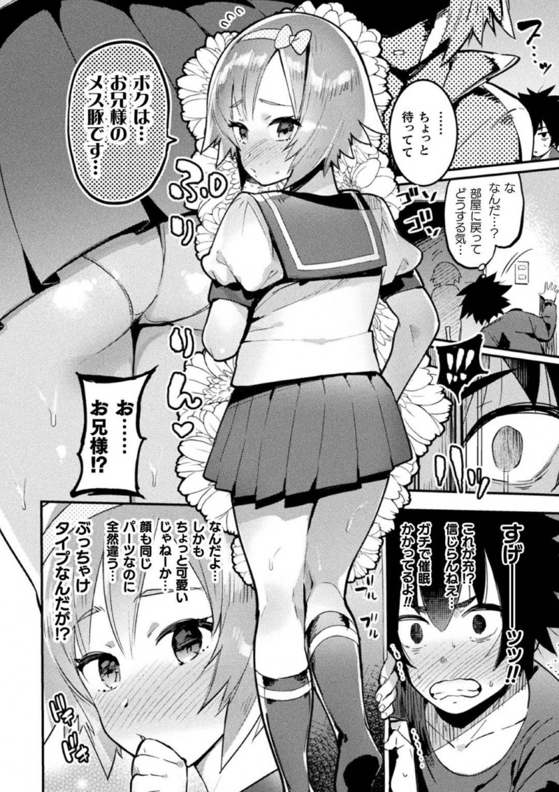 陽キャ彼女持ちの弟を催眠術でメス豚にする陰キャの兄…生意気な弟にバカにされた兄は、催眠術で弟をメス豚にすると女装させ言葉責めしながらアナルセックスで筆下ろしすると、弟を調教しイジメまくる【伊丹：双子カースト〜非リア兄貴の逆襲催眠】
