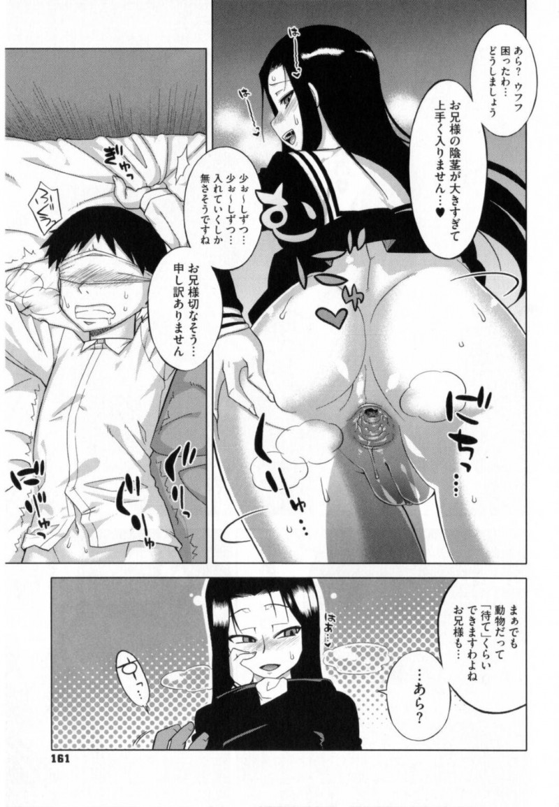 【少年漫画】せっかく作ったお弁当を忘れた兄にお仕置き中のちっパイ妹…拘束目隠し猿轡の兄のチンポを容赦なく足コキ！【高津】