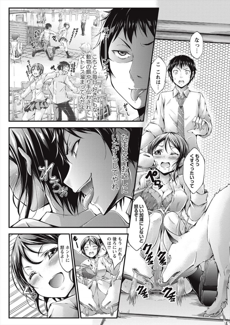 【エロ漫画】毎日幼なじみに強引に動物の餌やりにつきあわされていた男子が、動物に全身を舐められ悶絶している幼なじみにムラムラして処女マンコに中出しレイプしてしまうｗ
