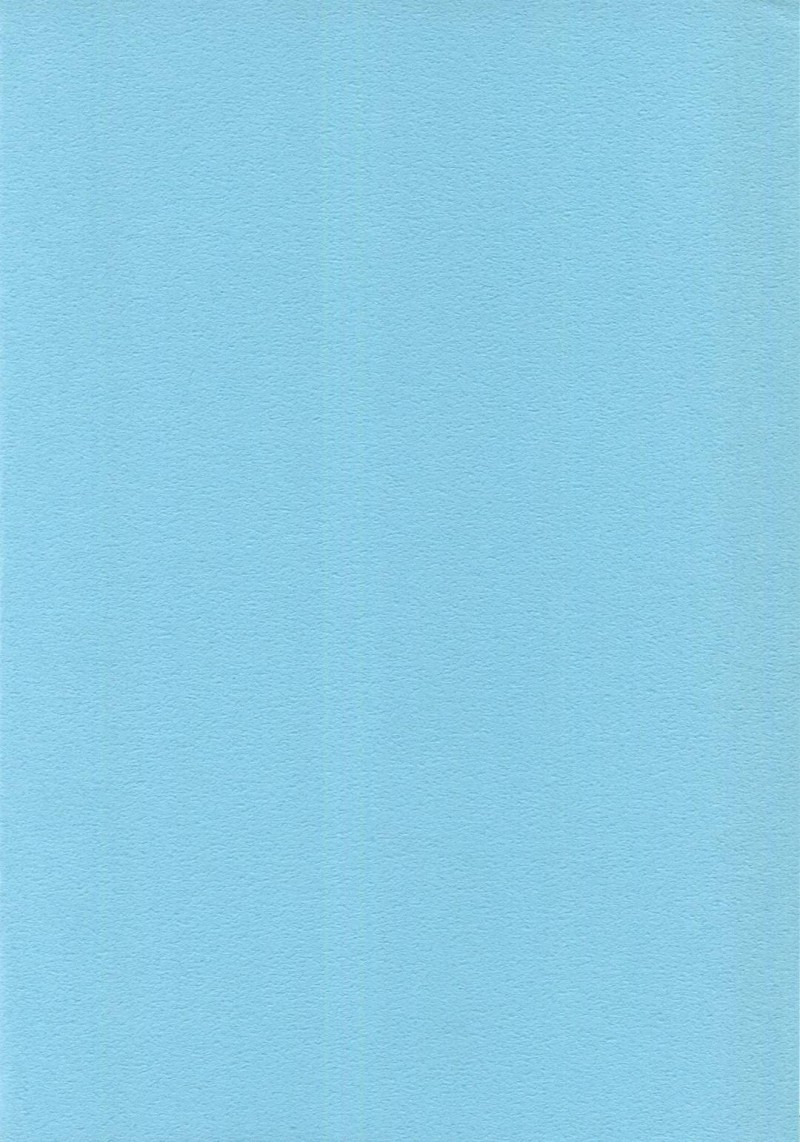 【エロ同人誌】(C91)【グレン城下町の憩いの酒場で冒険者を接客する巨乳オーガ娘達…戸惑っていた勇者をたっぷりのサービスと誘惑によって3人同時指名される！妄想エンジン (コロツケ)：元祖高級ぱふぱふ 憩いの酒場~グレン駅前店~/ドラゴンクエストX】