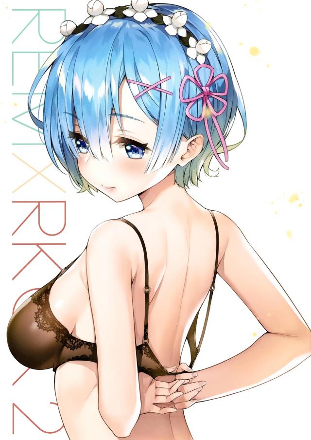 レムがいろんなコスプレをしながらえちちな姿を見せてくれるフルカラーイラスト集！【Re:ゼロから始める異世界生活・エロ同人誌】