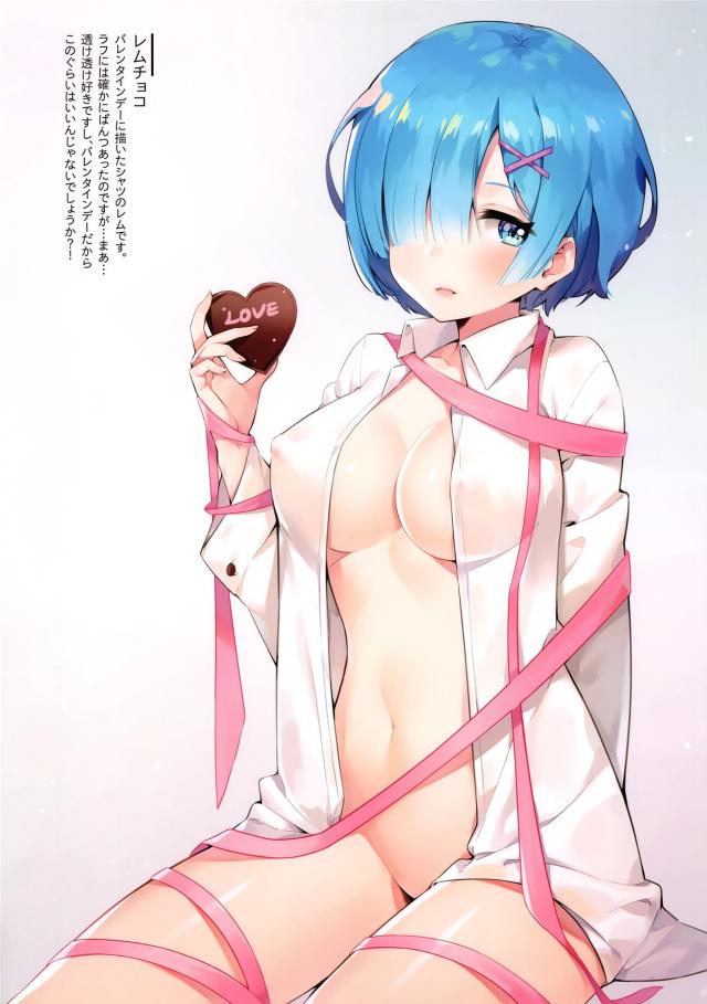 レムがいろんなコスプレをしながらえちちな姿を見せてくれるフルカラーイラスト集！【Re:ゼロから始める異世界生活・エロ同人誌】