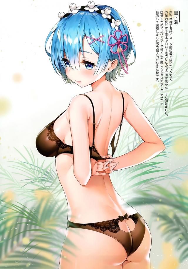 レムがいろんなコスプレをしながらえちちな姿を見せてくれるフルカラーイラスト集！【Re:ゼロから始める異世界生活・エロ同人誌】