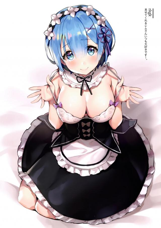 レムがいろんなコスプレをしながらえちちな姿を見せてくれるフルカラーイラスト集！【Re:ゼロから始める異世界生活・エロ同人誌】