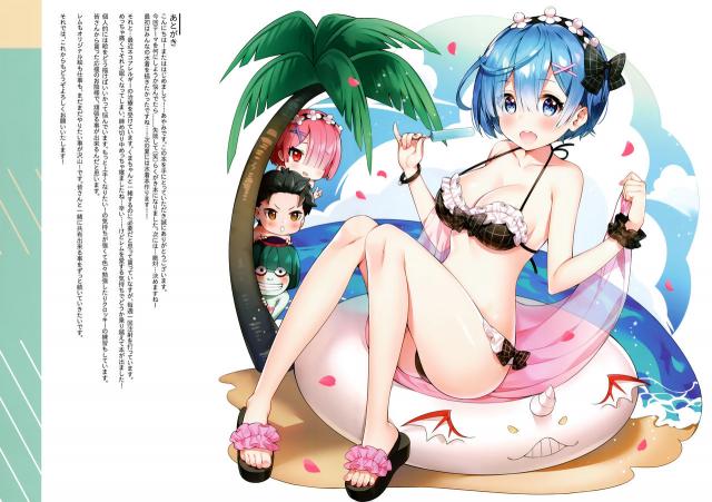 レムがいろんなコスプレをしながらえちちな姿を見せてくれるフルカラーイラスト集！【Re:ゼロから始める異世界生活・エロ同人誌】