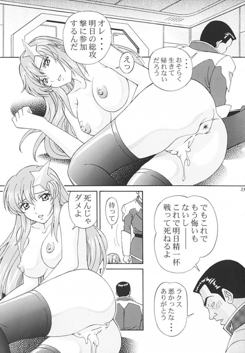 【エロ同人誌】欲情した男に狙われ無理矢理犯されるラクス・クライン…一方的な想いを告げられながら身体中触られる！【〆切り３分前 (月見大福)：陵辱 MEER/機動戦士ガンダムSEED DESTINY】