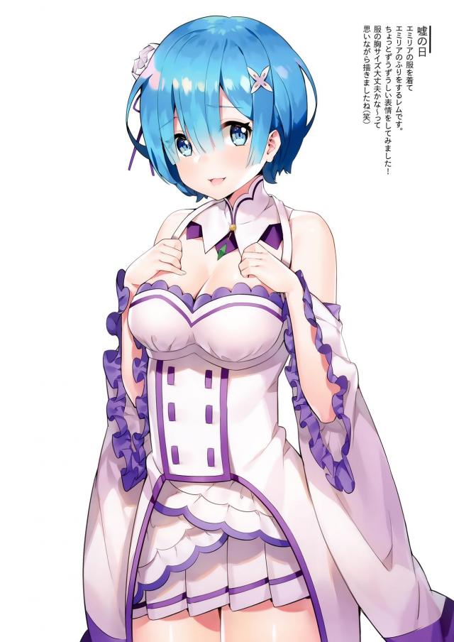 レムがいろんなコスプレをしながらえちちな姿を見せてくれるフルカラーイラスト集！【Re:ゼロから始める異世界生活・エロ同人誌】