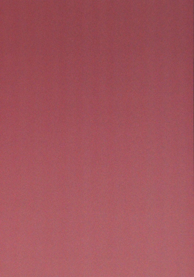 【エロ漫画】用務員の変態オヤジに盗撮されて脅され、犯されてしまうプリンセスたち…身体を好き放題弄られてご奉仕フェラさせられ、激しい連続中出し調教レイプで全員孕ませ奴隷堕ち【愛上陸：SECRET ENGAGE】