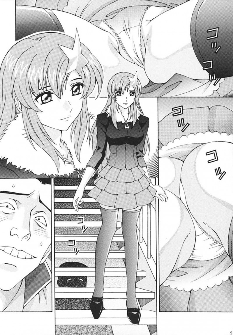 【エロ同人誌】欲情した男に狙われ無理矢理犯されるラクス・クライン…一方的な想いを告げられながら身体中触られる！【〆切り３分前 (月見大福)：陵辱 MEER/機動戦士ガンダムSEED DESTINY】