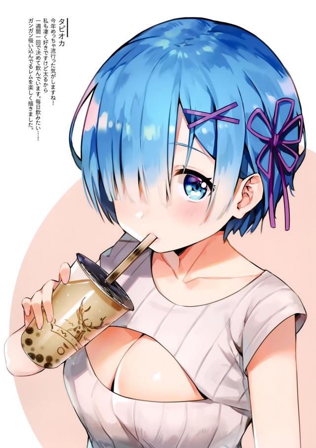 レムがいろんなコスプレをしながらえちちな姿を見せてくれるフルカラーイラスト集！【Re:ゼロから始める異世界生活・エロ同人誌】