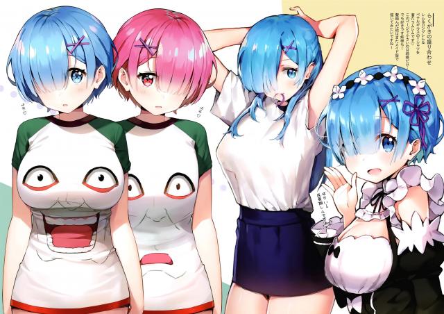 レムがいろんなコスプレをしながらえちちな姿を見せてくれるフルカラーイラスト集！【Re:ゼロから始める異世界生活・エロ同人誌】