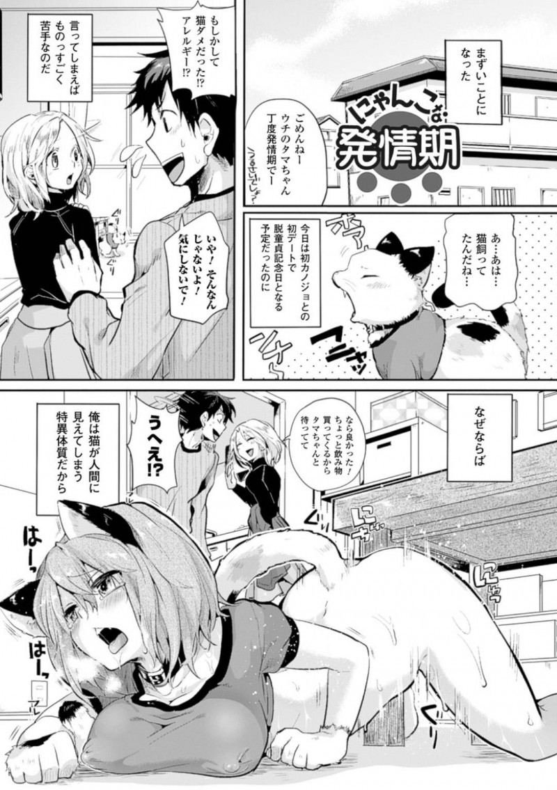 【エロ漫画】ご主人様が童貞彼氏を連れて来てしまった発情期中の猫娘…その彼は猫が人間に見えてしまう特異体質のため好都合で発情を発散させる！【ドウモウ：にゃんこな発情期】