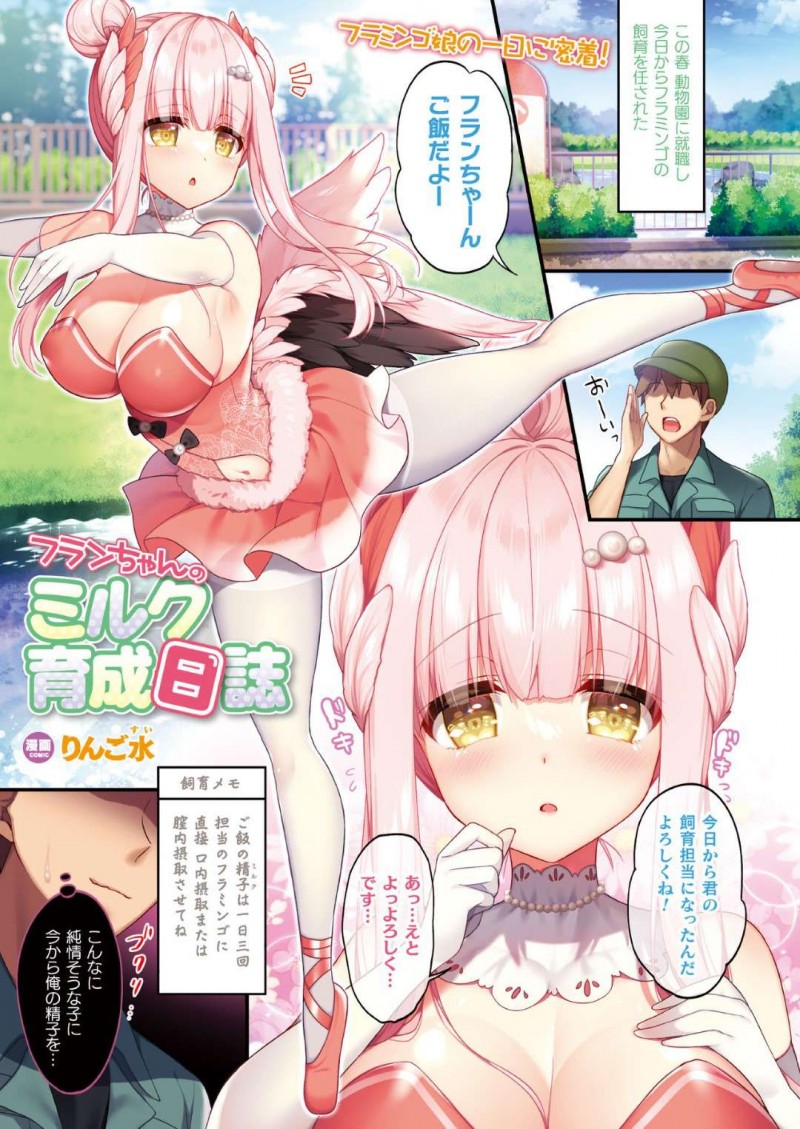 動物園で新しい飼育員の男性に挨拶をするフラミンゴの巨乳少女…ご飯の精子を1日3回飲ませてもらう！【りんご水：フランちゃんのミルク育成日誌】