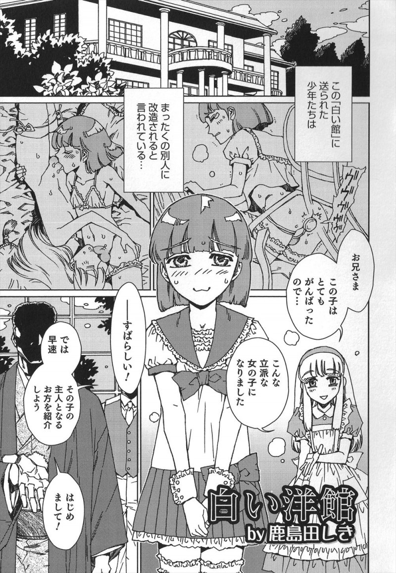 男 の 娘 へ 調教 され まし た