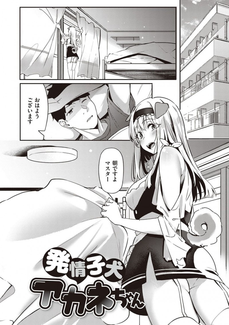 【エロ漫画】朝になりマスターが朝勃ちしていたためご奉仕フェラをする巨乳メイドはおあずけされてしまう！【文雅/発情子犬アカネちゃん】
