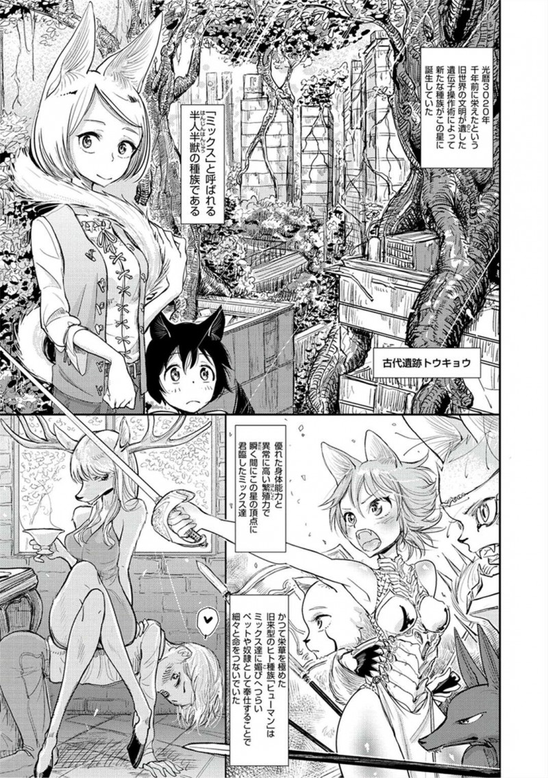 【少年漫画】人間奴隷を選定する獣耳法務官…お試しに異種姦セックスで生ハメ発情期アクメ！【ディビ】