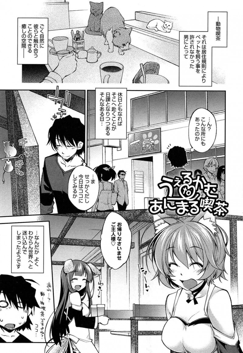 【エロ漫画】タイプの男性客にサービスするアニマルメイド喫茶の店員は生ハメ正常位する！【小倉脩一/うぇるかむtoあにまる喫茶】