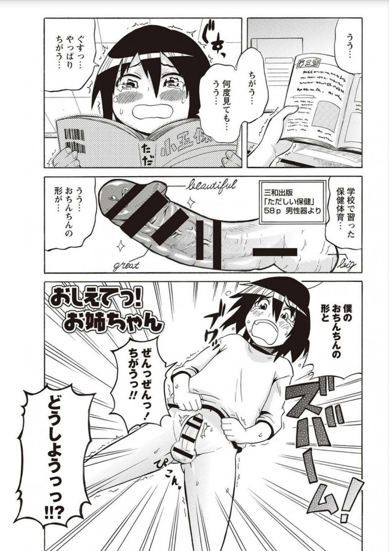 【少年漫画】教科書に載っているチンポを自分のチンポが違うと心配になった無垢なショタが肉便器と呼ばれる淫乱姉に包茎チンポをフェラでむいてもらう！発情した姉弟が正常位の中出しで筆下ろしちゃう！【ユウキレイ】