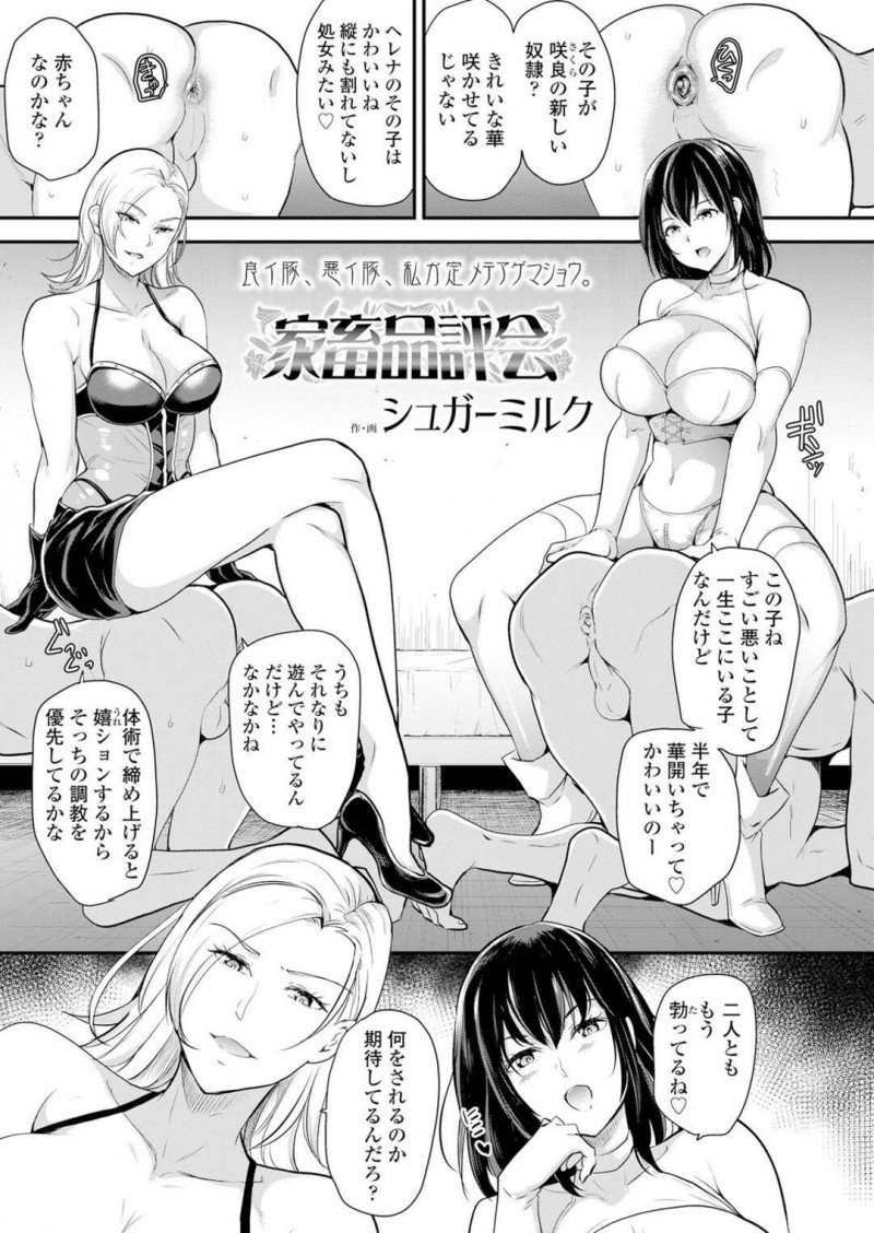 【少年漫画】二人組のドSお姉さんの性奴隷になった男達がオス豚にされてアナルを調教されながら性処理させられて快楽堕ち！【シュガーミルク】