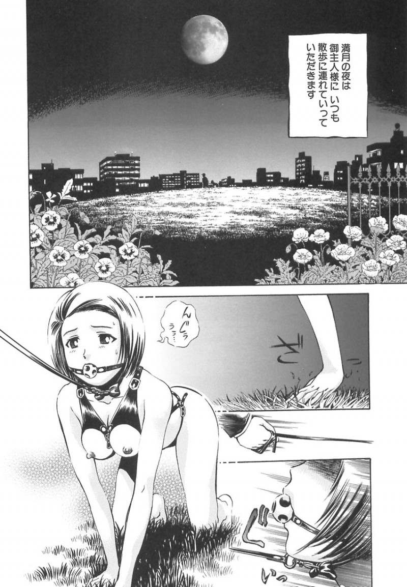 【エロ漫画】変態主人に散々調教された末、夜の公園でボンテージのまま捨てられた奴隷女。そこへやって来た酔っぱらいたちに襲われて無理やり犯され、お仕置き輪姦レイプで陵辱されてしまう【ペルソナ：王様と女奴隷】